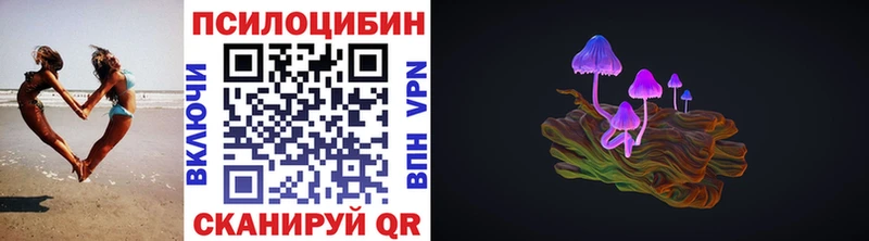 Псилоцибиновые грибы GOLDEN TEACHER  kraken сайт  Галич 
